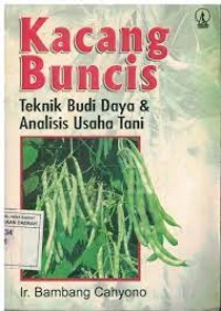 Kacang Buncis