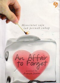 Image of An Affair To Forget